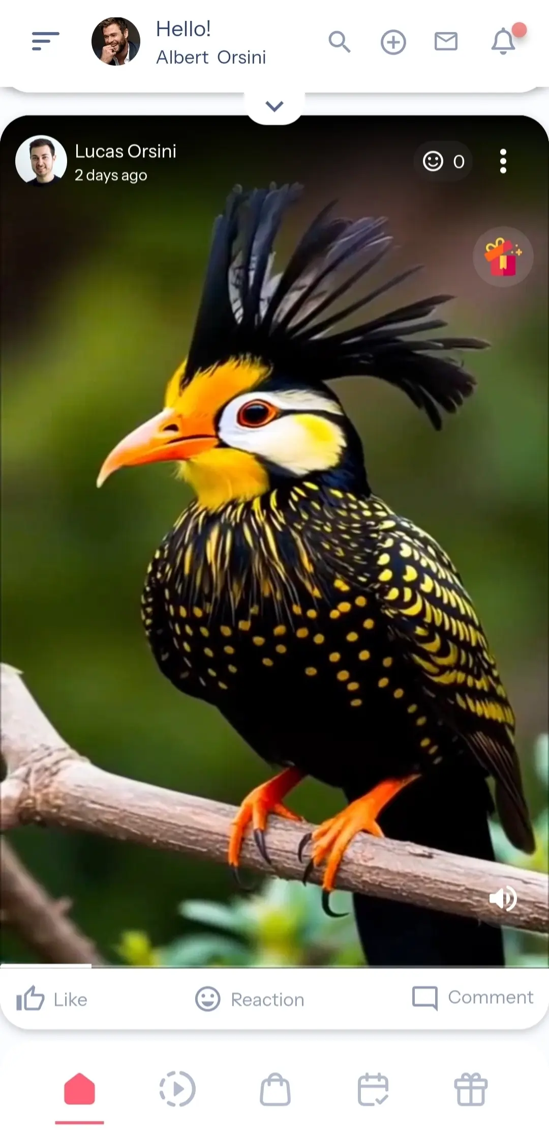 MamaApp Mobile Interface Preview